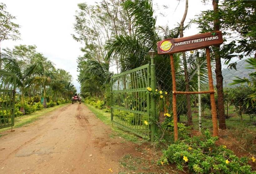 בית מלון כפרי Harvest Fresh Farms