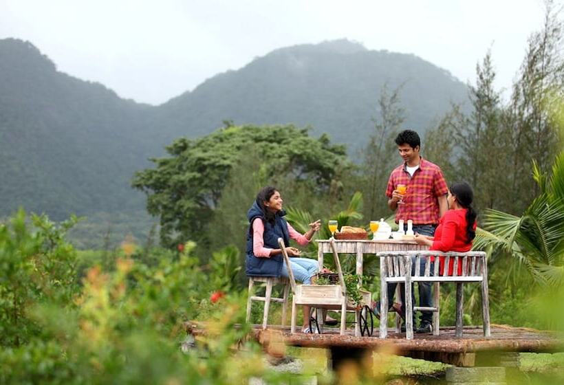 בית מלון כפרי Harvest Fresh Farms