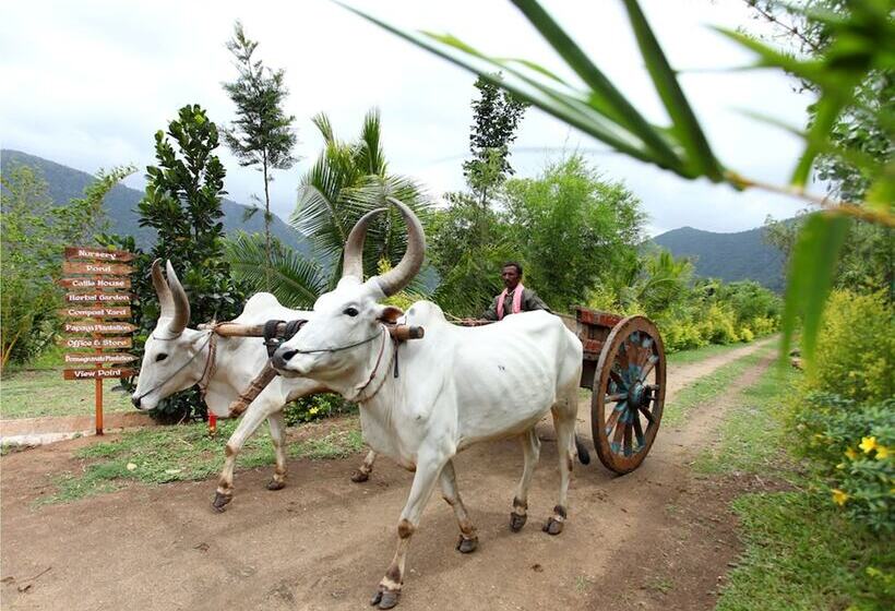 בית מלון כפרי Harvest Fresh Farms