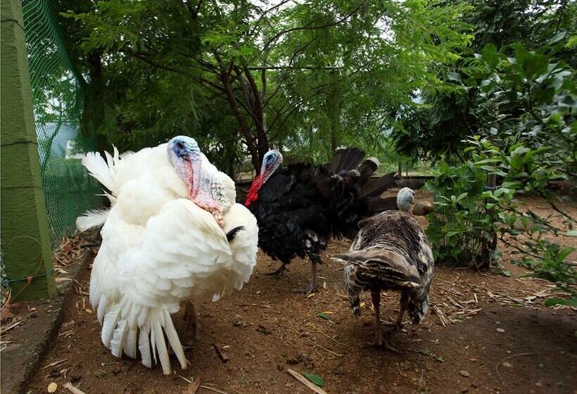בית מלון כפרי Harvest Fresh Farms