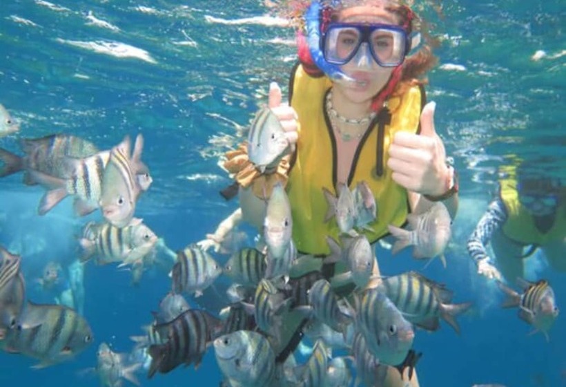 Increíble Estudio En Puerto Aventuras, Condominio Con Alberca # 201