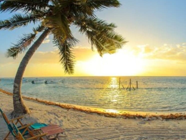 Increíble Estudio En Puerto Aventuras, Condominio Con Alberca # 201