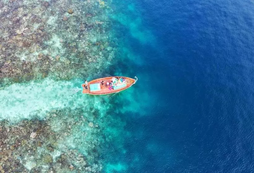 پانسیون Island Pavilion