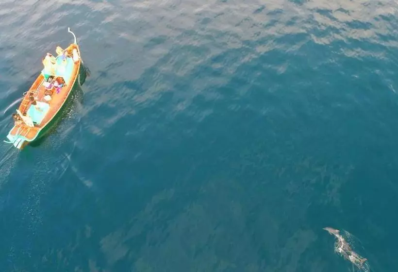 پانسیون Island Pavilion