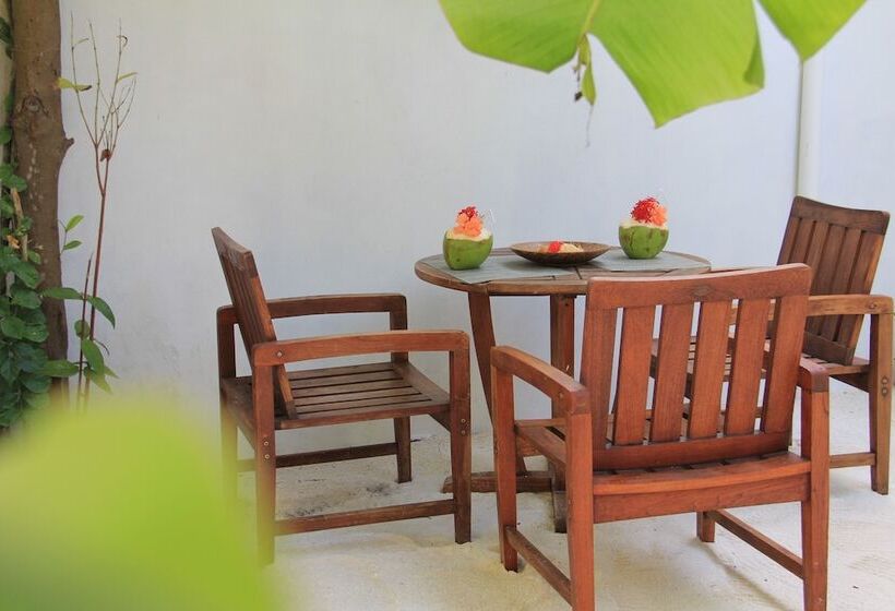 پانسیون Dhivehi Experience