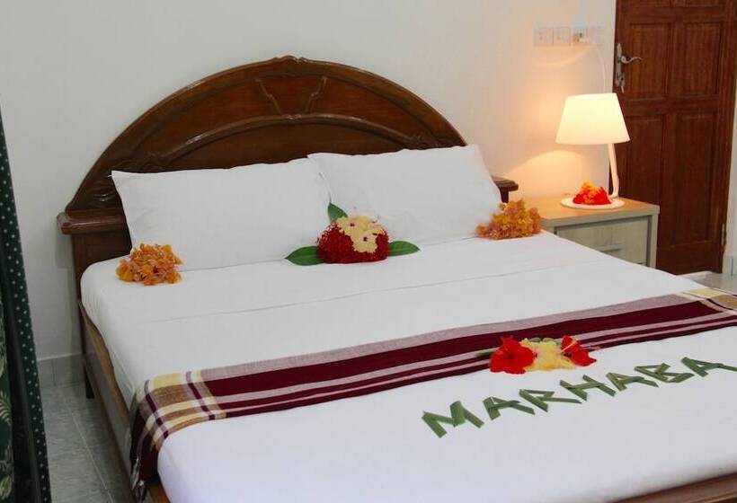 پانسیون Dhivehi Experience