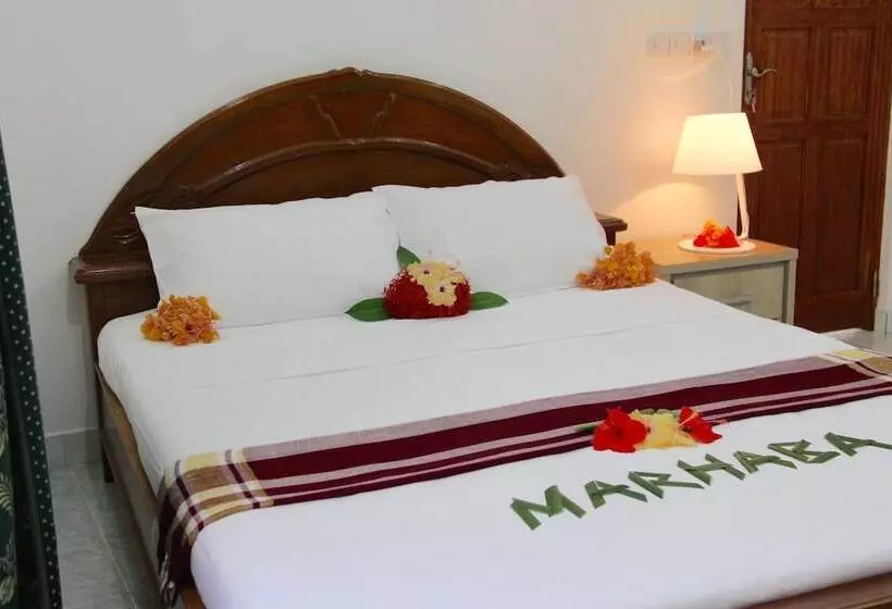 پانسیون Dhivehi Experience