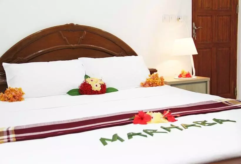 پانسیون Dhivehi Experience