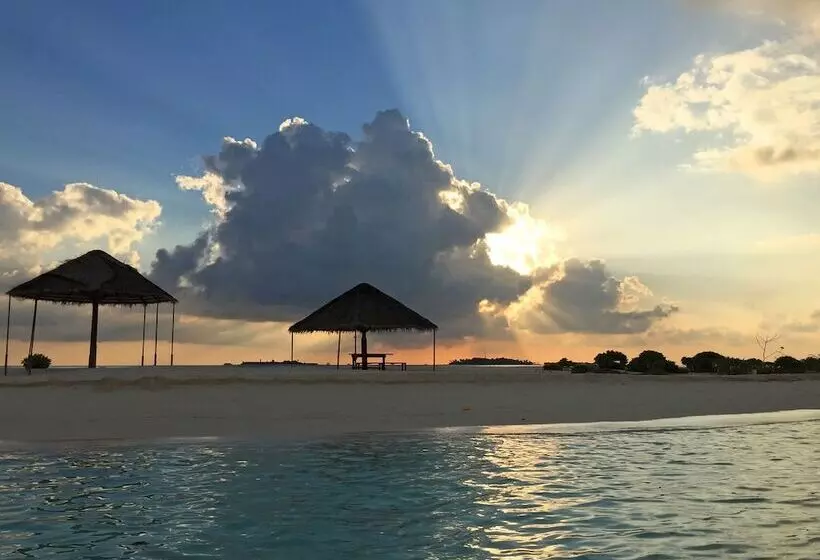 پانسیون Dhivehi Experience