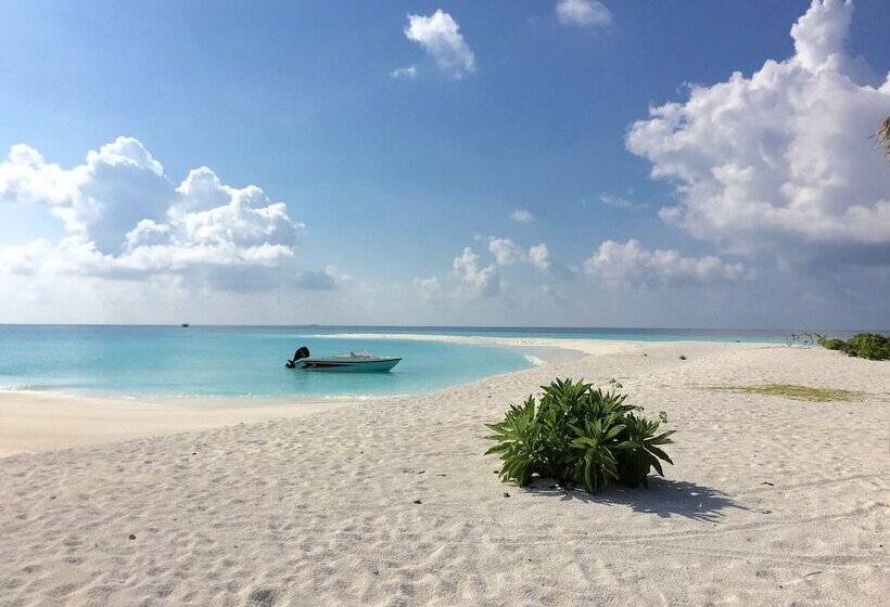 پانسیون Dhivehi Experience