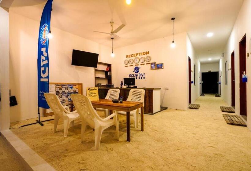 پانسیون Shallow Lagoon Rasdhoo