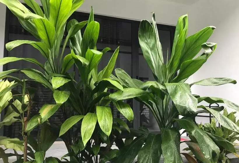 پانسیون Royal Stay Inn