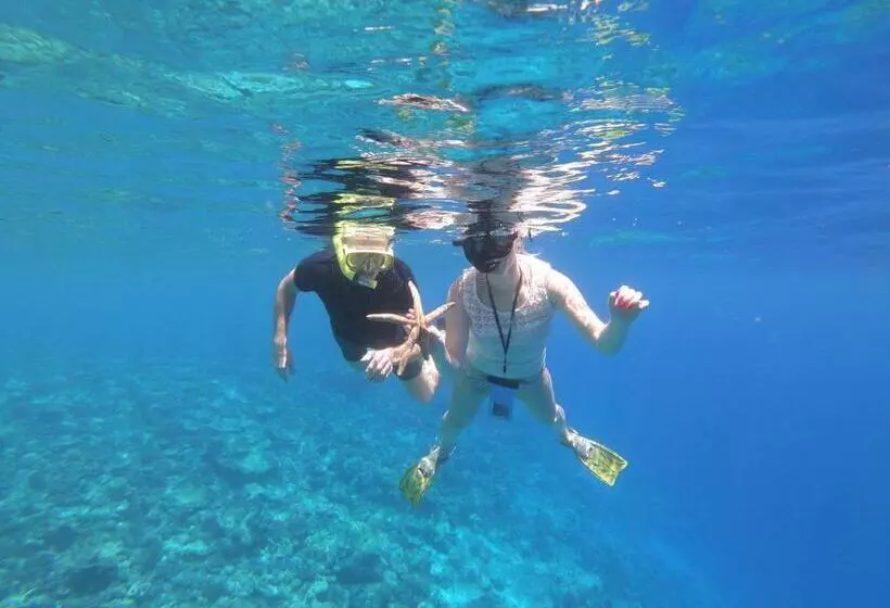 پانسیون Royal Stay Inn