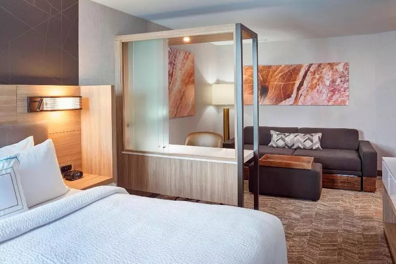 Hotelli Springhill Suites By Marriott Grand Rapids West