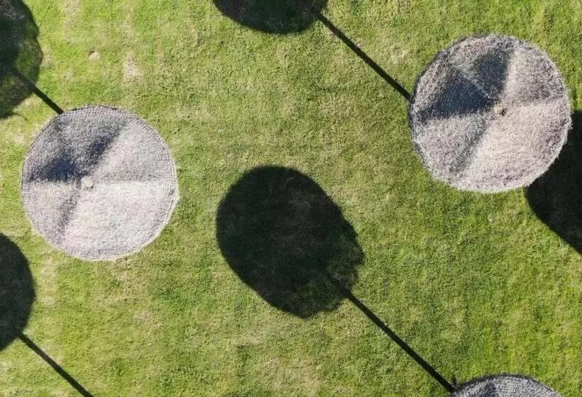 Отель Venafro Palace