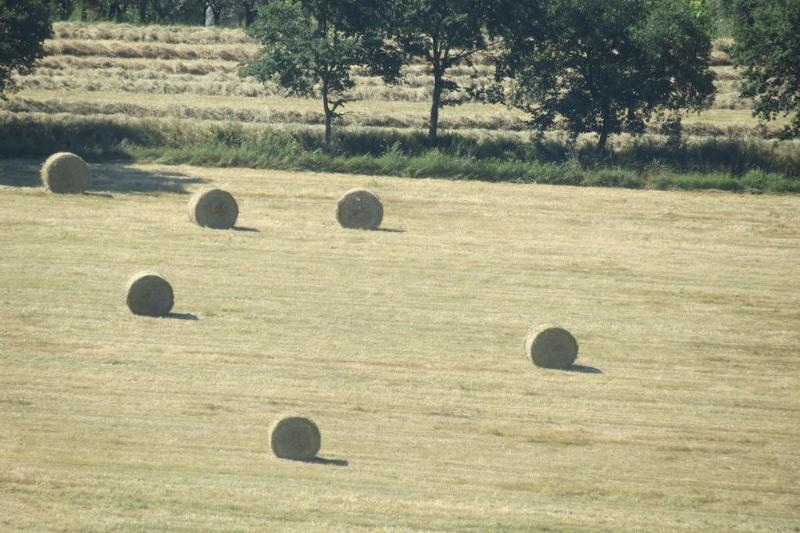 هتل روستایی Agriturismo Il Gelso Nero