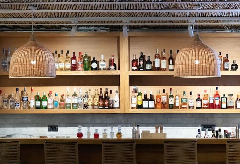 Sea Level Hotel Adults Only 16 Plus