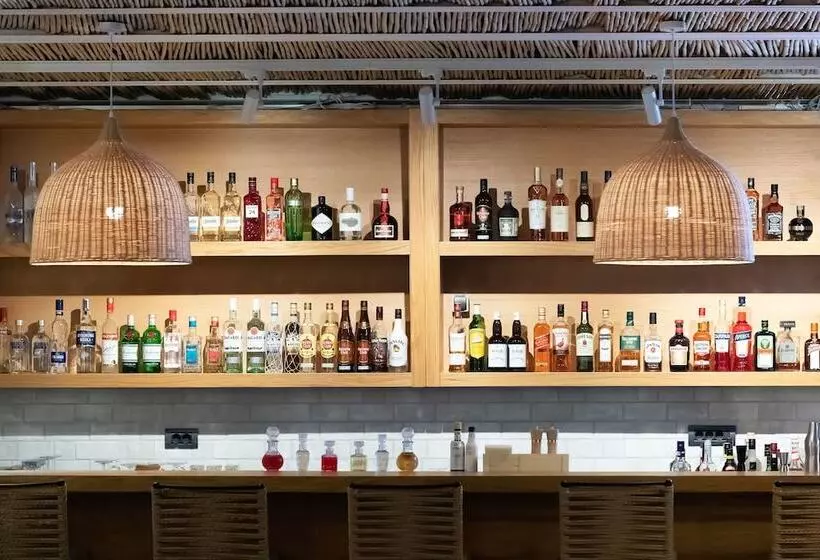 Sea Level Hotel   Adults Only 16 Plus