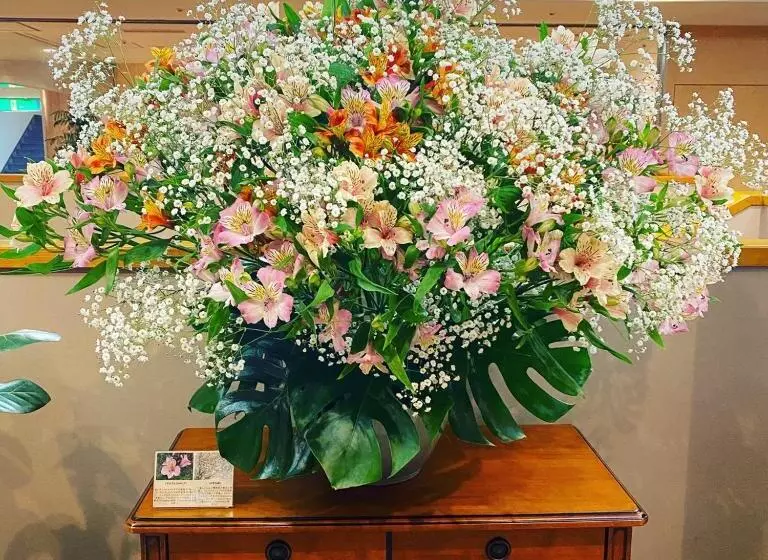 Отель Clio Court Hakata