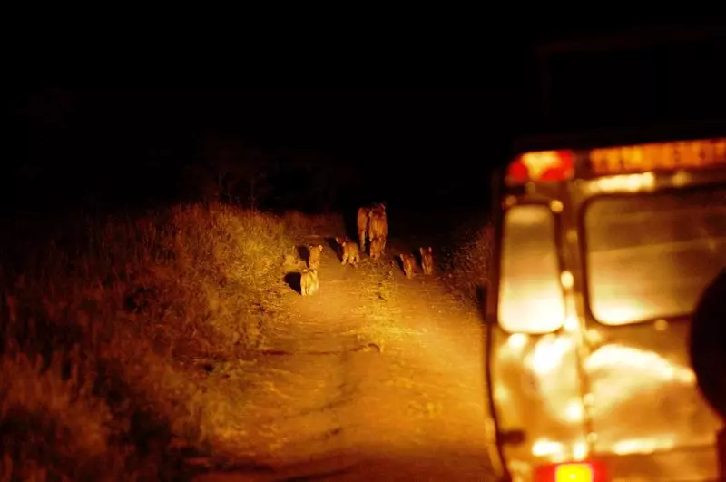 هتل Ol Pejeta House