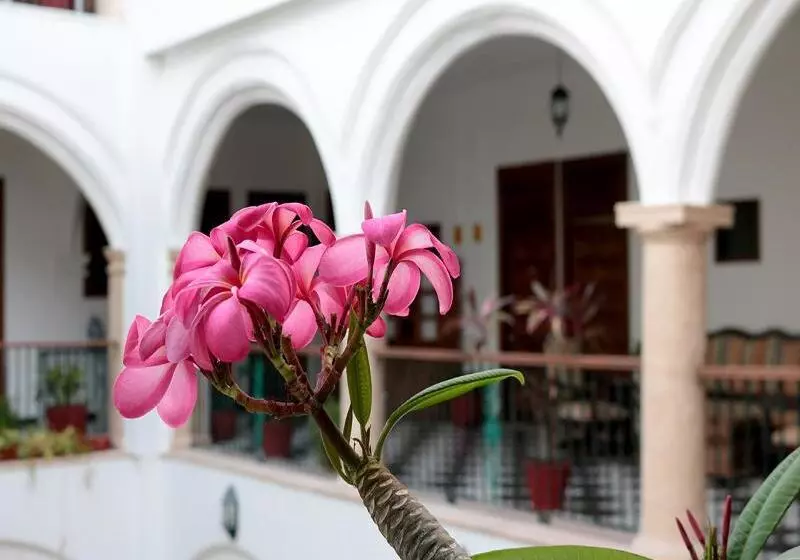 هتل Mision Campeche