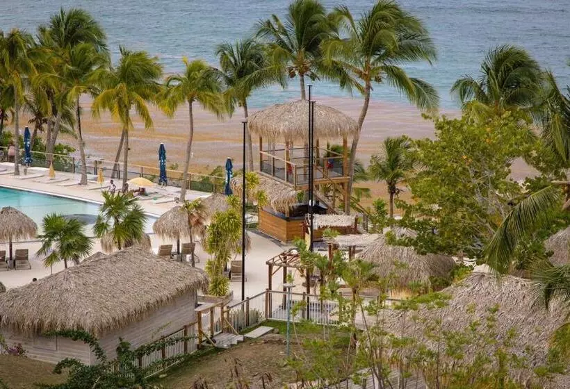 Résidence Marinotel