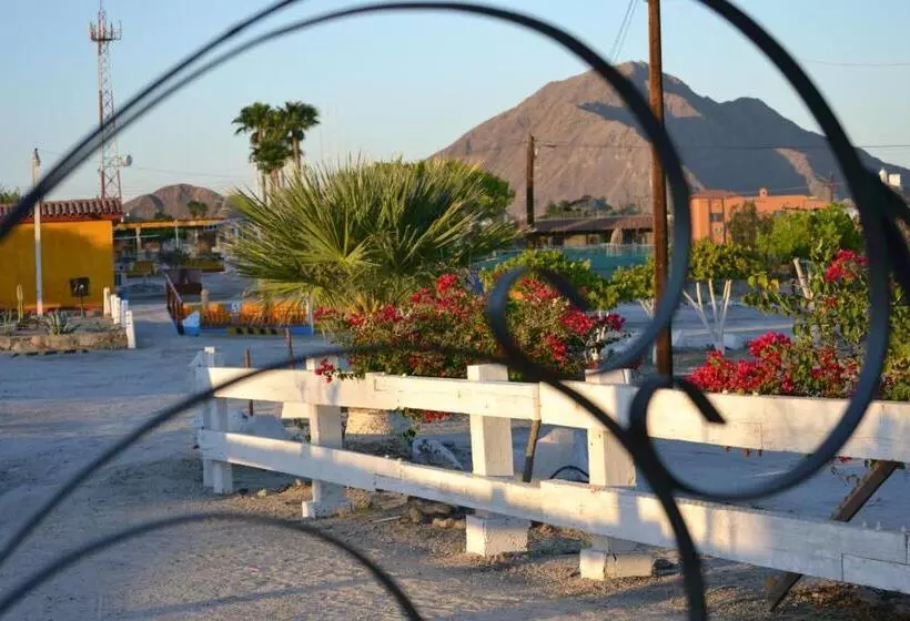 Отель Las Palmas