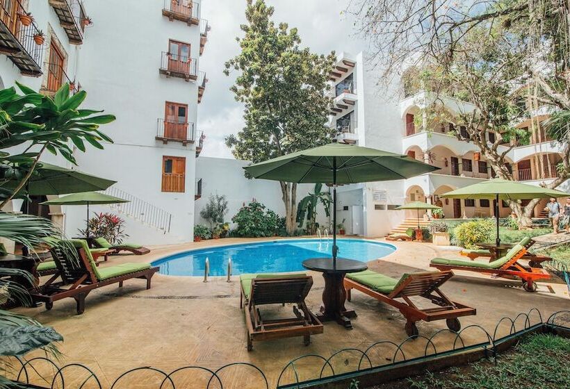 Otel Meson Del Marques