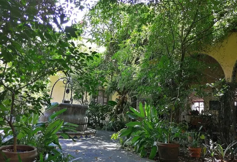 호텔 Posada Coatepec