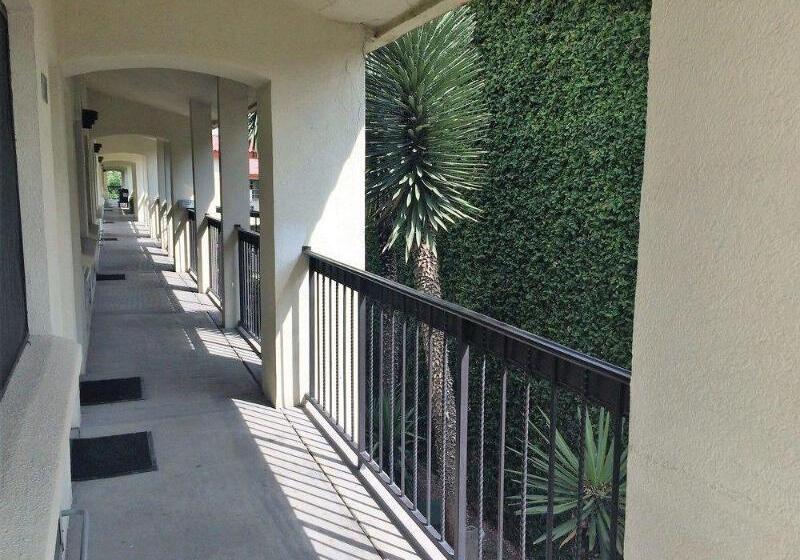 Quinta Dorada Hotel & Suites