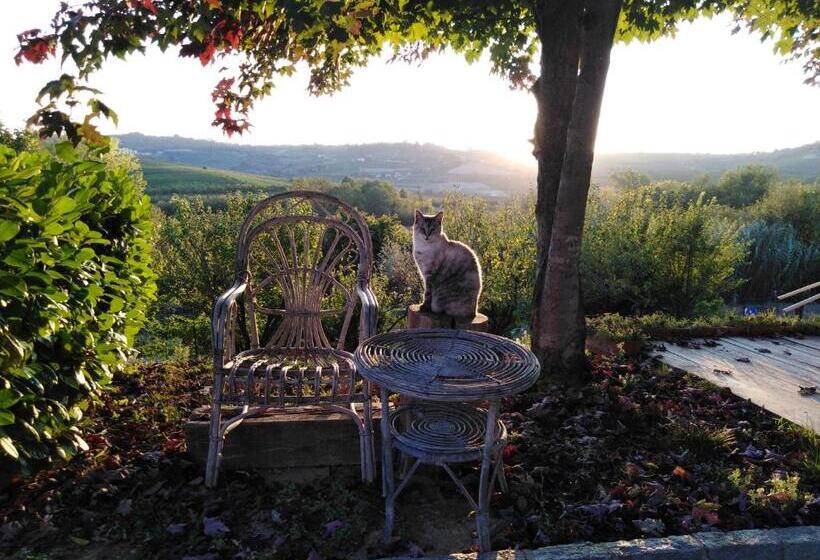 بنسيون Casa Molly