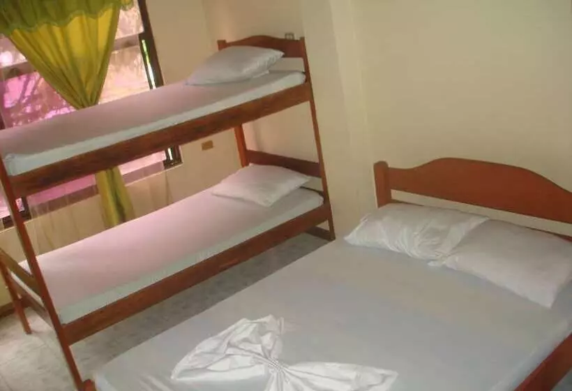 Hostal Hippilandia   Hostel