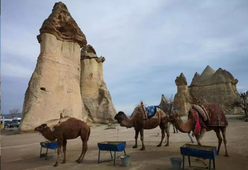Hotelli Sandık Cave Suites