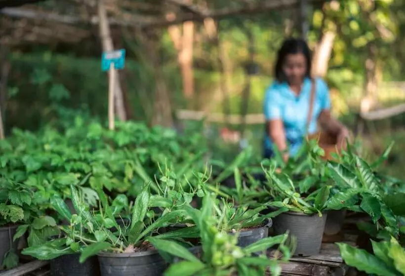 Na Sook Wellness Resort