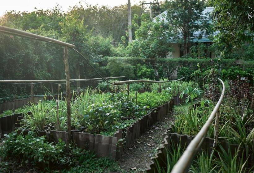 Na Sook Wellness Resort