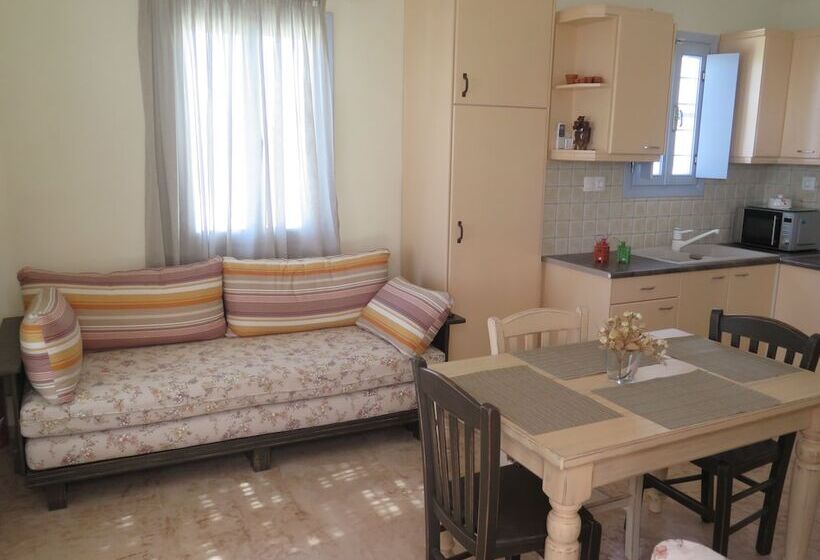 펜션 Kaminaki Amorgos Studios & Apartments