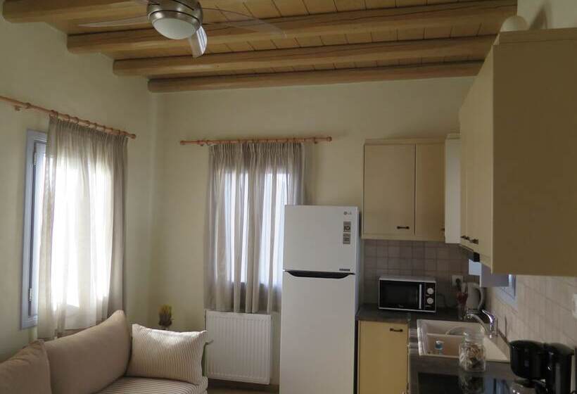 펜션 Kaminaki Amorgos Studios & Apartments