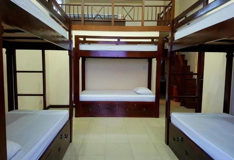 הוסטל Sunrise Backpacker