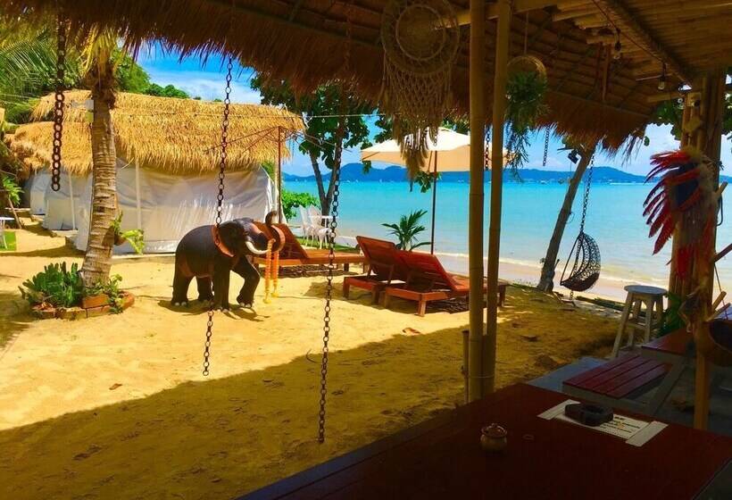 Szálloda Sea Safari