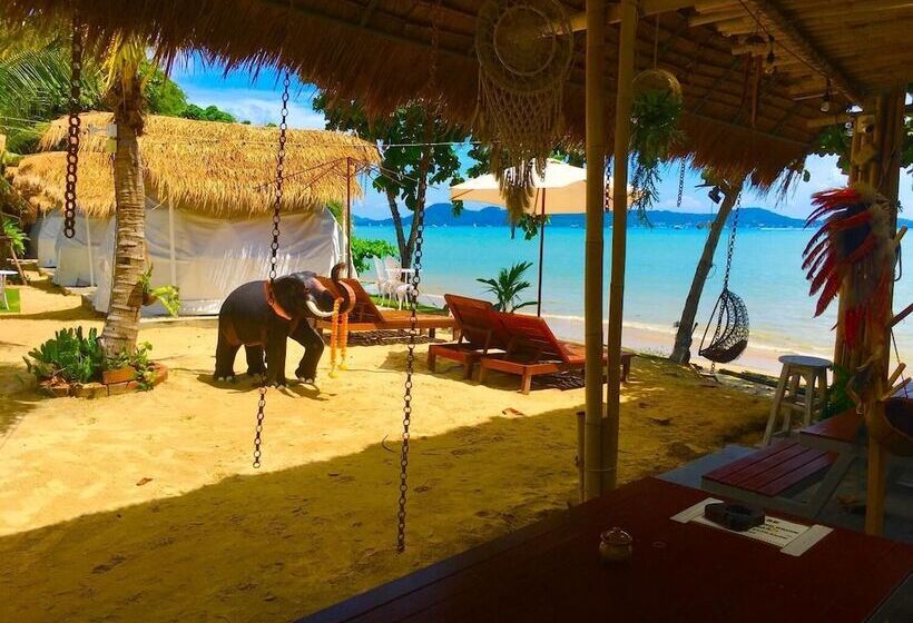 Szálloda Sea Safari