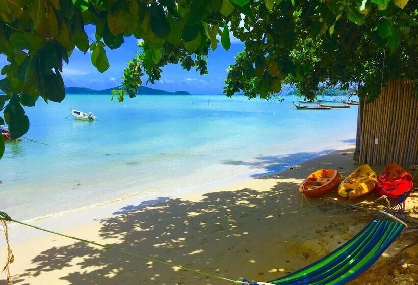 Szálloda Sea Safari