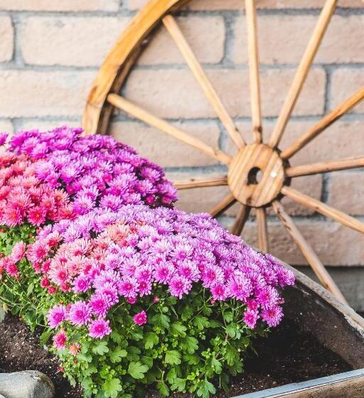 酒店 The Stagecoach Inn