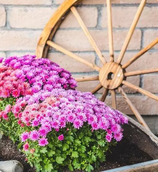 ホテル The Stagecoach Inn