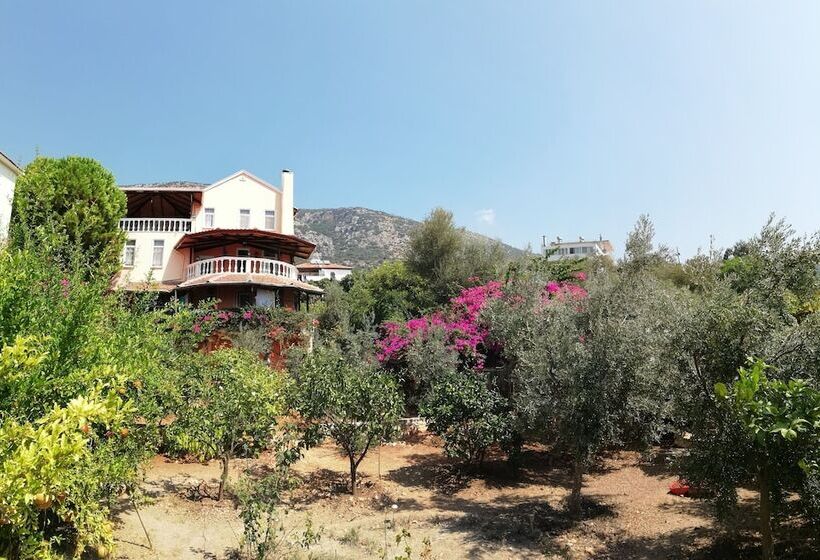 בית מלון כפרי Villa Koknar Pension