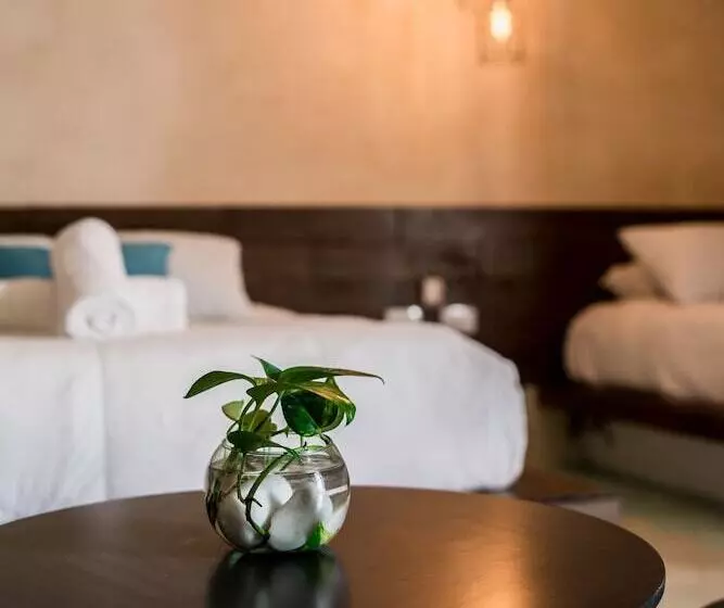 Hotelli Bohonito Holbox