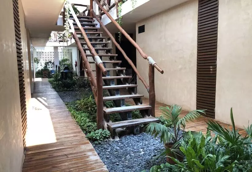 Hotelli Bohonito Holbox