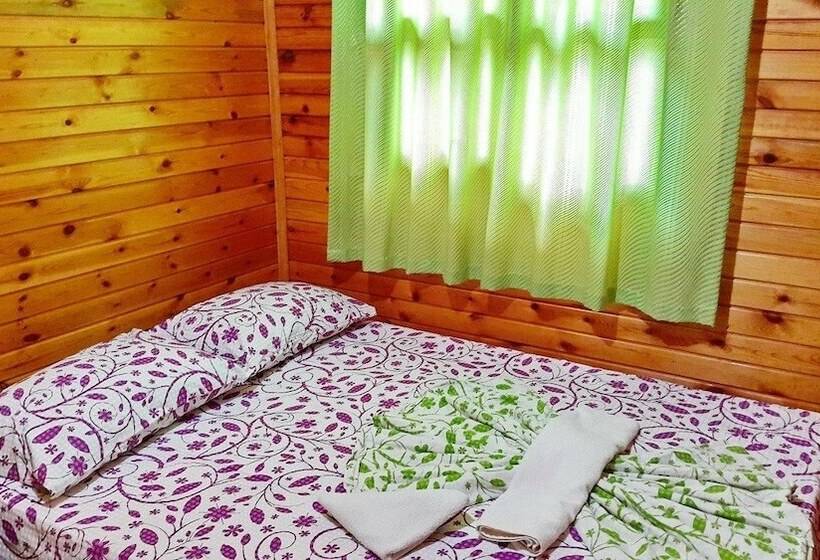 Olympos Tatilya Pansiyon