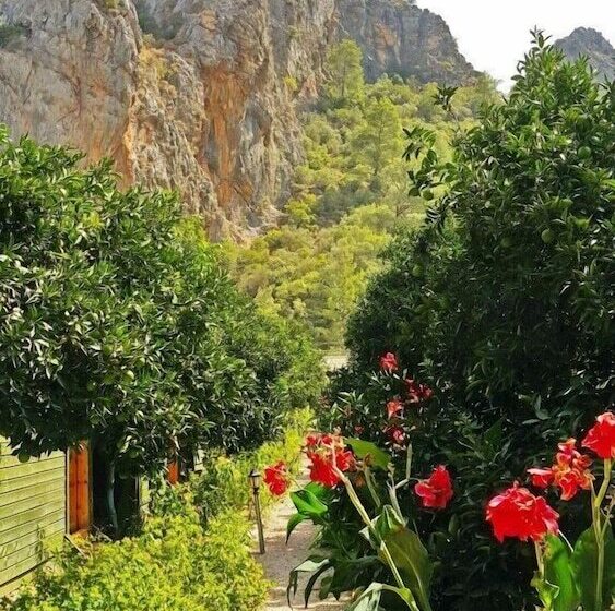 Olympos Tatilya Pansiyon