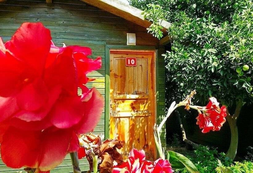 Olympos Tatilya Pansiyon