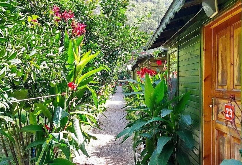 Olympos Tatilya Pansiyon